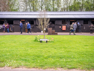 WG210423-5 - Warren Greatrex stable visit